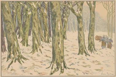 el bosque invierno