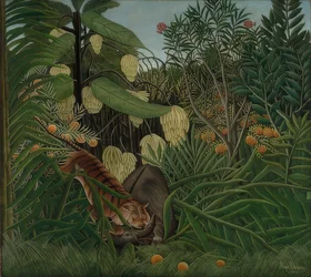Lucha entre un tigre y un búfalo. 1908