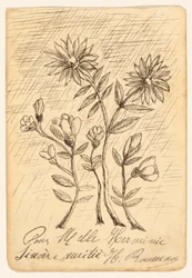Rama de roble