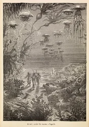 Un paseo bajo las aguas" de "20 000 leguas de viaje submarino", c.1870 (grabado)