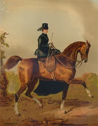 El caballo de una dama - La propiedad del difunto Conde de Pembroke