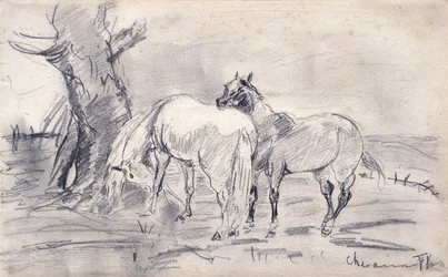 Caballos