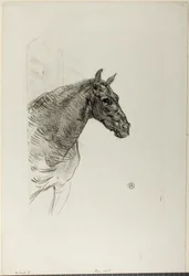 Philibert el pony