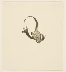 Colofón de Au Pied du Sinaï