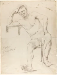 El modelo Nizzavena