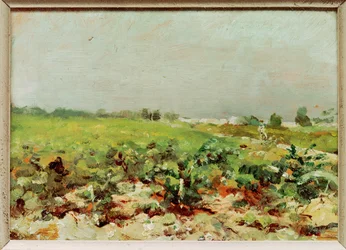 Vista de los viñedos