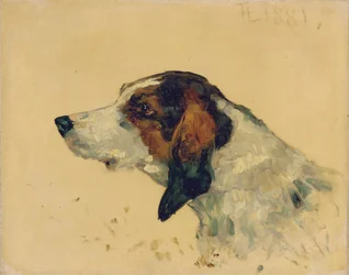 Perro de caza, 1881