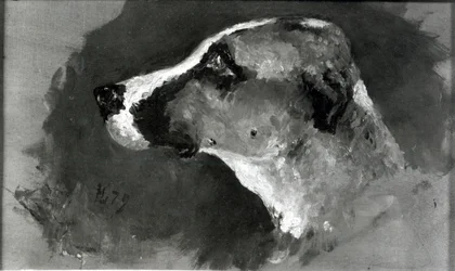Cabeza de un perro con orejas cortas, 1879