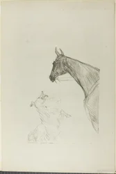 Caballo y Collie