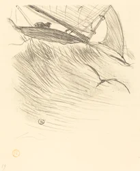 Las golondrinas de mar