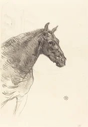 El viejo caballo