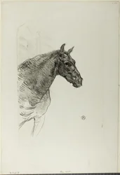 Philibert el pony