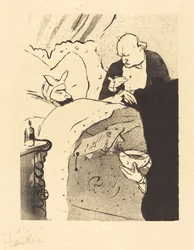 ¡Carnot enfermo! Carnot malade!, 1893