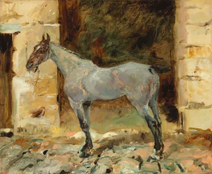 Caballo atado