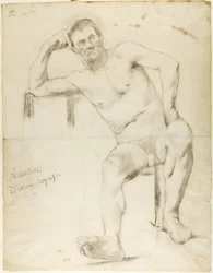 El modelo Nizzavena