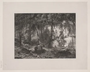 Danés: Interior del bosque