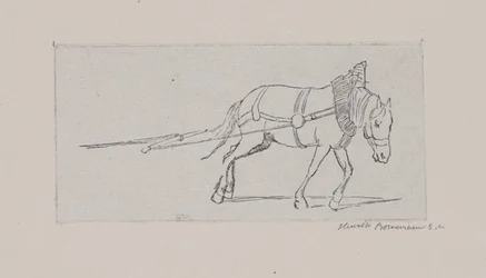 Un caballo tirando