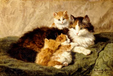 Satisfacción, 1900