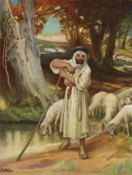 Un pastor y su rebaño en Banias