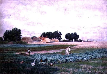 Campo de coles y granja
