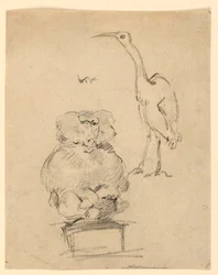 Estudios de una Garza y un Mono