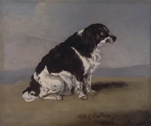 El spaniel de la duquesa de York