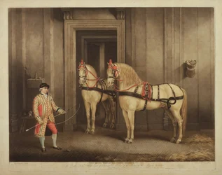 Dos de los caballos estatales de Su Majestad, grabado por William Ward, 1 de septiembre de 1800
