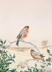 Escena de invierno con pinzón y acebo