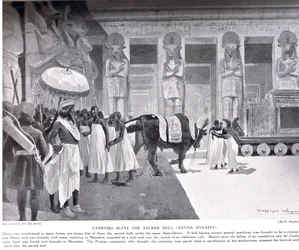 Cambises mata al Toro Sagrado, ilustración de 