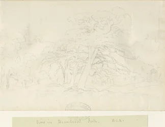 Parque Beaudesert: dibujo a lápiz, nd [1788-1855]