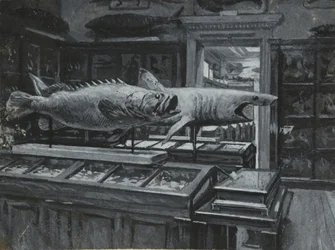 Vista interior del Museo Británico mostrando la galería de exhibiciones de peces, c.1880