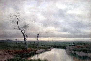 Pantanos costeros