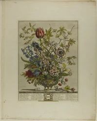 Febrero, de Los doce meses de flores