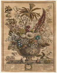 Doce meses de flores: diciembre