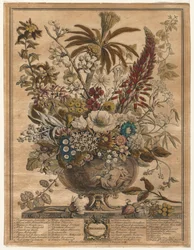 Doce meses de flores: Diciembre, 1730