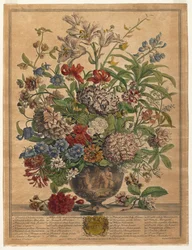 Doce Meses de Flores: Julio, 1730