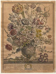 Doce meses de flores: marzo
