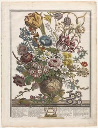 Doce meses de flores: Marzo