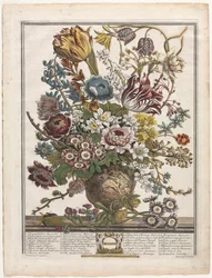Doce Meses de Flores: Marzo, 1730