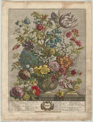 Doce Meses de Flores: Mayo, 1730