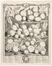 Doce meses de fruta: Agosto