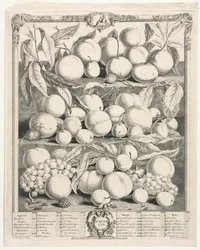 Doce meses de frutas: Agosto