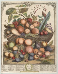 Doce Meses de Fruta: Julio, 1732