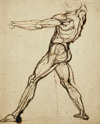 Un desnudo lanzando