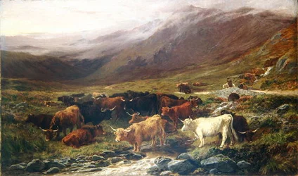 Vacas en las tierras altas
