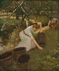 Recogiendo Ciruelas, 1901, c1930