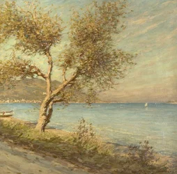 El árbol de morera