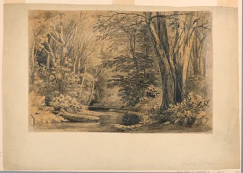 Dibujo, Un arroyo en el bosque, 1854