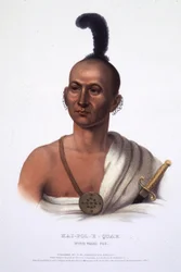 Kai-Pol-E-Quah, Zorro de Nariz Blanca