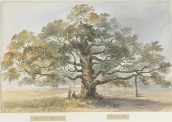 Blithfield - Roble del Mendigo